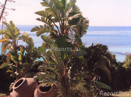 Grecian Sands Hotel 14